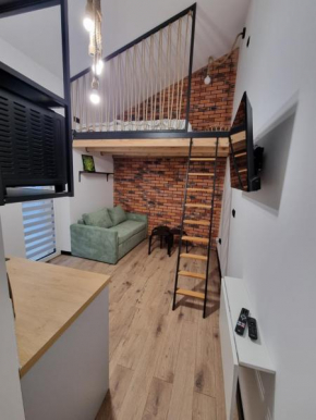 Apartament LOFT
